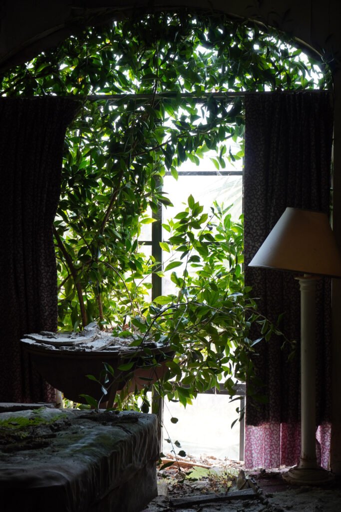 A room inside the abandoned Port of the Islands Resort in Naples, Florida, overtaken by nature. Green vines and foliage grow through a broken arched window, nearly engulfing the space. A dusty lamp, decayed furniture, and peeling paint add to the eerie atmosphere, showcasing the slow reclamation of this once-luxurious Everglades hotel. A prime location for urban explorers and abandoned photography enthusiasts.