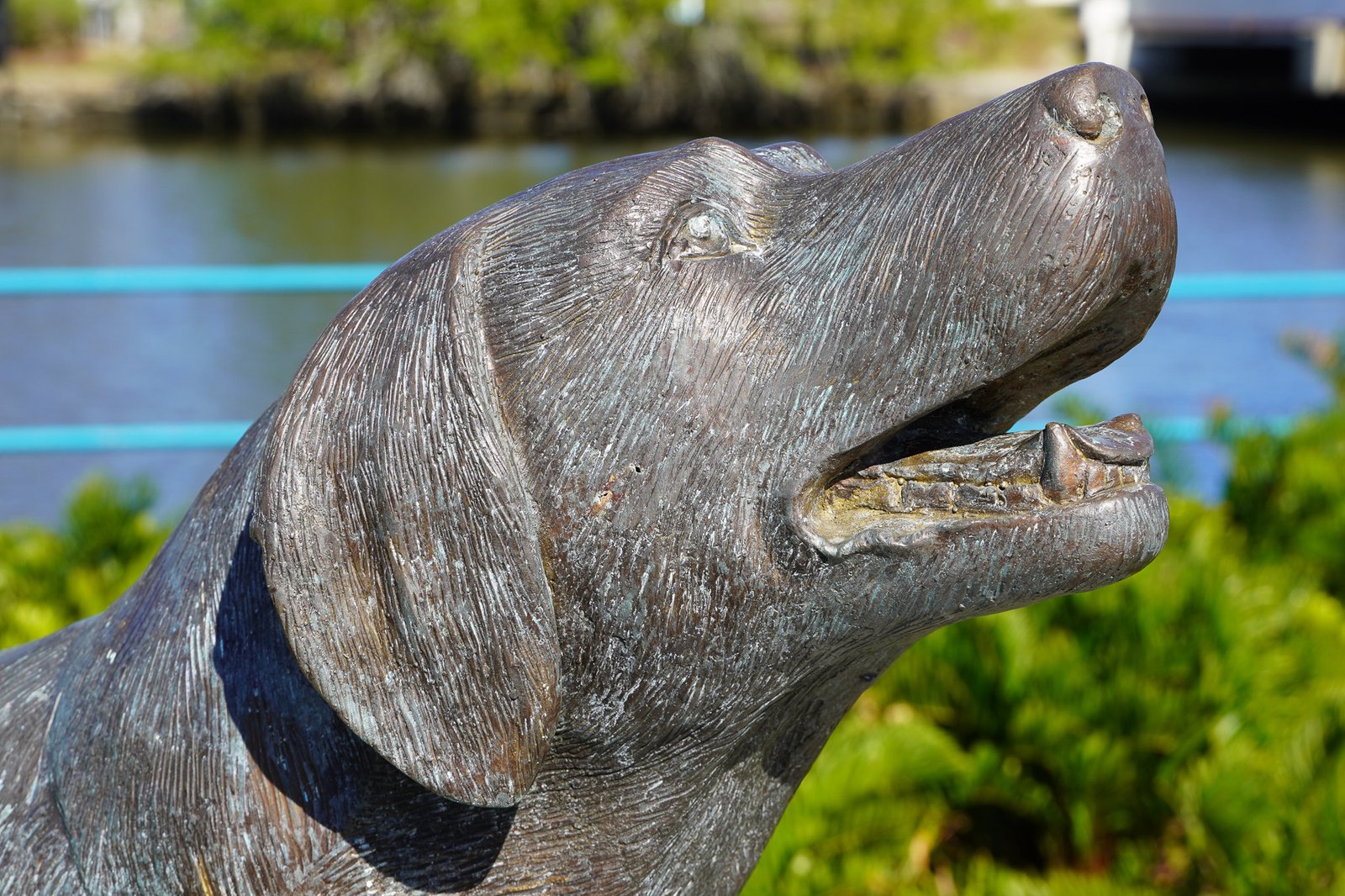 Close-up of the Brownie the Town Dog Memorial Statue in Daytona Beach, Florida, showcasing detailed bronze craftsmanship. Brownie, a historic community dog, is celebrated as a free and unique attraction in the Daytona Beach area, offering visitors a glimpse into the town's charming history and culture.